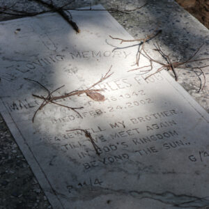 In Loving Memory of Malcolm Charles Figg