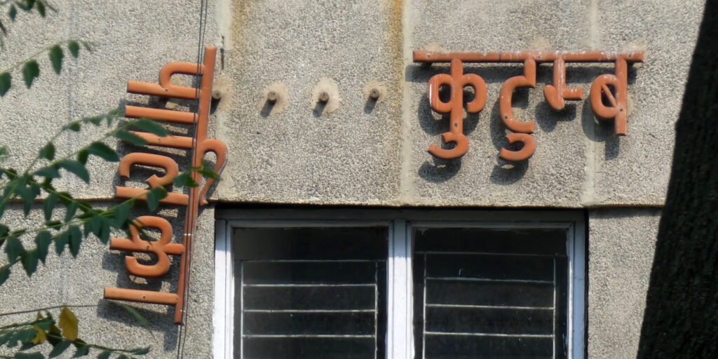 Lessons from Letters — Essay in Purée Mag